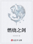 燃烧之剑在线阅读