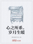 心之所系，岁月生暖在线阅读