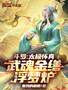 斗罗:太极怀真,武魂金缮浮梦炉在线阅读