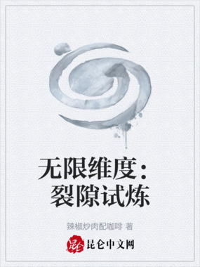 无限维度:裂隙试炼在线阅读
