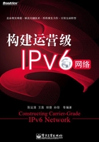 构建运营级IPv6网络