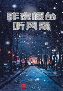 昨夜楼台听风雨