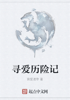 寻爱历险记在线阅读