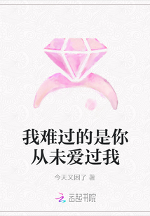 我难过的是你从未爱过我