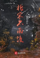 北宋不南渡在線閱讀