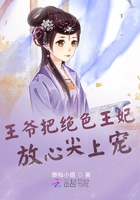 王爷把绝色王妃放心尖上宠