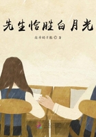 先生恰胜白月光