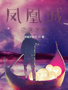 凤凰城之长夜遥望在线阅读