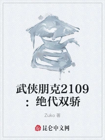 Martial Arts Punk 2109: Peerless Twins