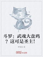 斗罗:武魂大盘鸡?这可是圣主!在线阅读