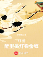 红楼:醉里挑灯看金钗在线阅读