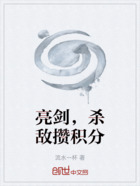 亮剑,杀敌攒积分在线阅读