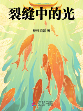 裂缝中的光在线阅读