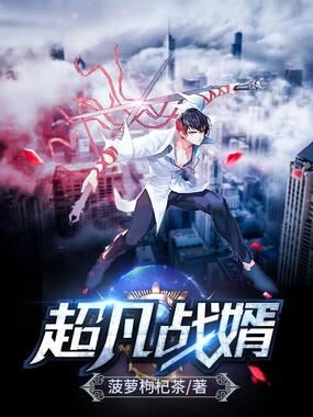 超凡战婿在线阅读