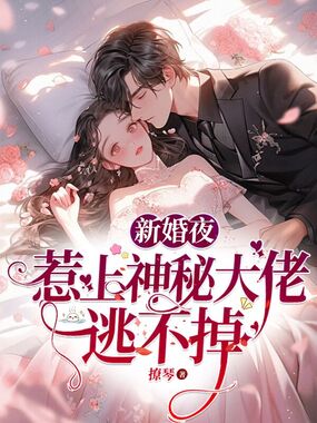 新婚夜,惹上神秘大佬逃不掉在线阅读
