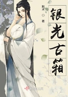 銀光古箱在線閱讀