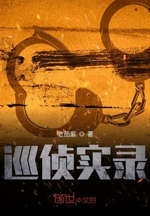 巡侦实录