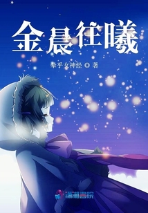 金晨往曦