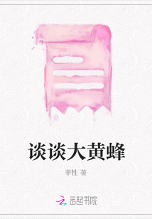 談談大黃蜂