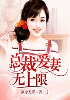 总裁的秘制夜妻