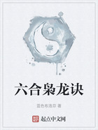 六合梟龍訣在線閱讀