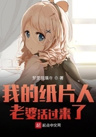 我的紙片人老婆活過來了在線閱讀