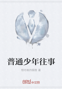 普通少年往事