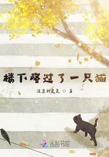 樓下路過了一只貓