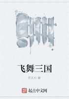 飞舞三国