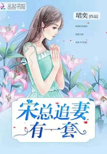 宋總追妻有一套