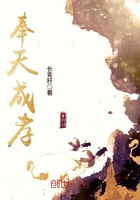 奉天成孝在線閱讀