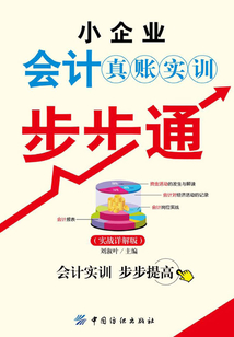 小企業會計真賬實訓步步通(實戰詳解版)
