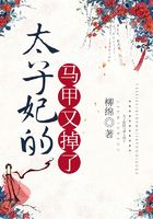 太子妃的马甲又掉了