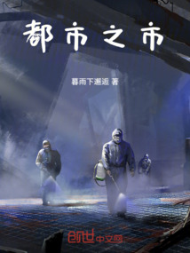 都市之市