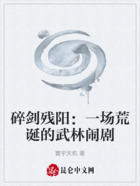 碎剑残阳:一场荒诞的武林闹剧在线阅读