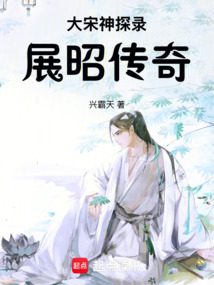 大宋神探录：展昭传奇