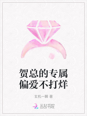 贺总的专属偏爱不打烊在线阅读