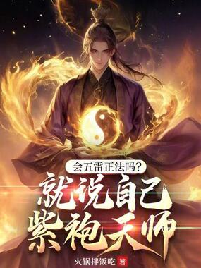 会五雷正法吗？就说自己紫袍天师在线阅读