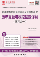 新疆维吾尔自治区会计从业资格考试历年真题与模拟试题详解（三科合一）