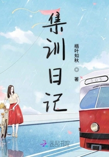 集训日记