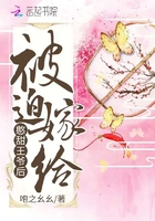 被迫嫁给憨甜王爷后在线阅读