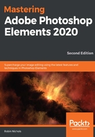 Mastering Adobe Photoshop Elements 2020在线阅读