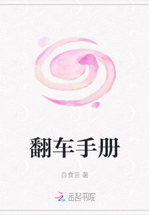翻車手冊