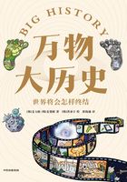 万物大历史：世界将会怎样终结在线阅读