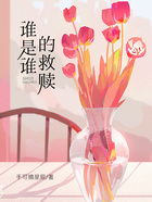 谁是谁的救赎在线阅读