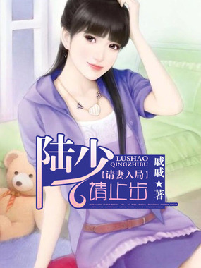 请妻入局：陆少，请止步在线阅读