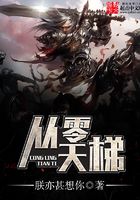 从零天梯