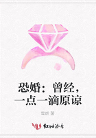 恐婚：曾經，一點一滴原諒在線閱讀