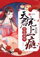 兽妃萌萌哒:天君,宠上瘾在线阅读