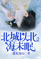北城以北海未眠在線閱讀
